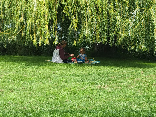 Picnic under a willow tree